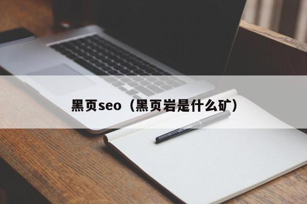 黑页seo（黑页岩是什么矿）