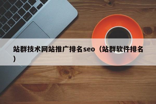 站群技术网站推广排名seo（站群软件排名）