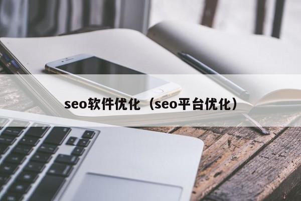 seo软件优化（seo平台优化）