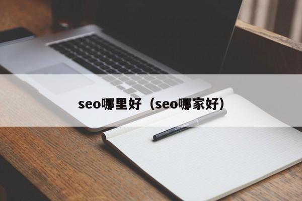 seo哪里好（seo哪家好）