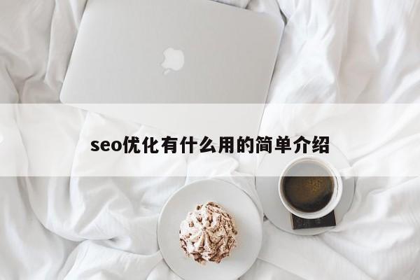 seo优化有什么用的简单介绍