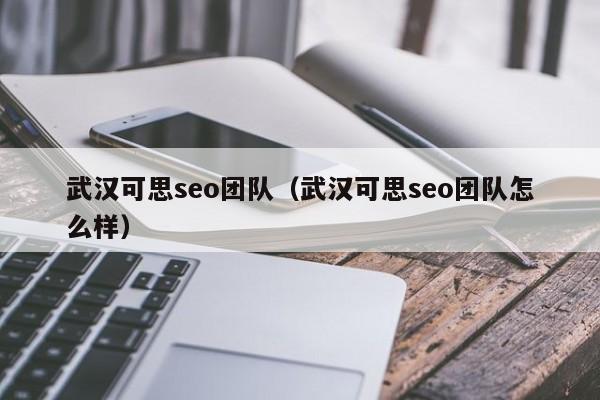 武汉可思seo团队（武汉可思seo团队怎么样）