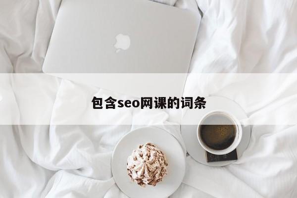 包含seo网课的词条