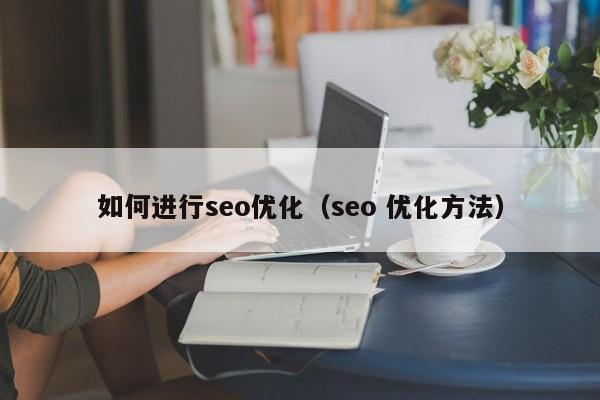 如何进行seo优化（seo 优化方法）