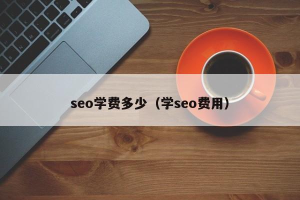 seo学费多少（学seo费用）