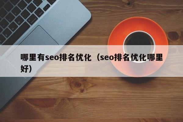 哪里有seo排名优化（seo排名优化哪里好）