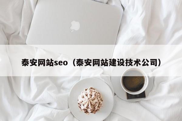 泰安网站seo（泰安网站建设技术公司）