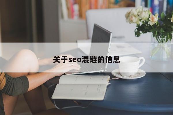 关于seo混链的信息