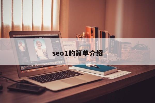 seo1的简单介绍