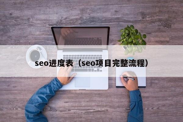 seo进度表（seo项目完整流程）