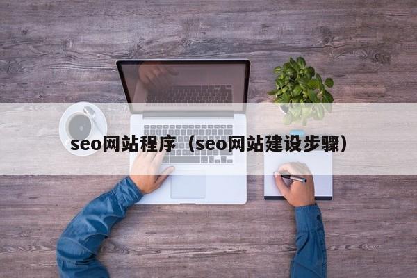 seo网站程序（seo网站建设步骤）