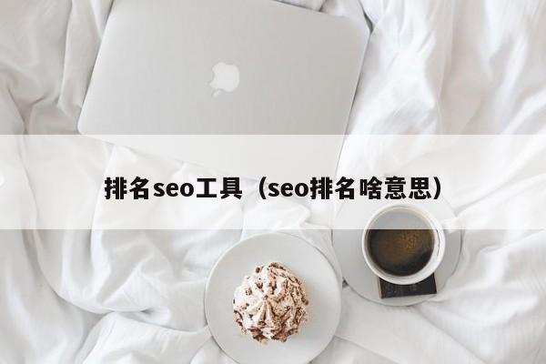 排名seo工具（seo排名啥意思）