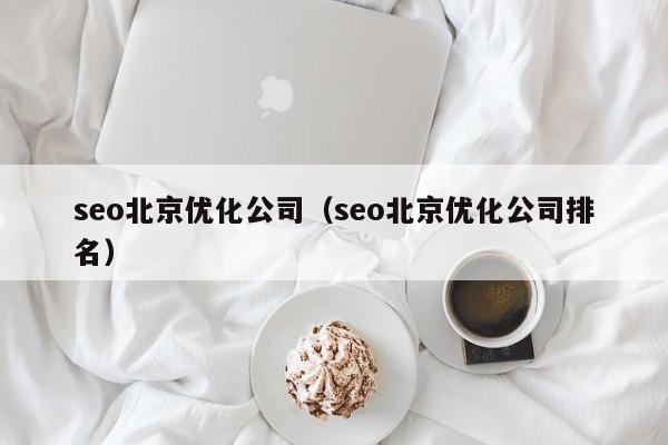 seo北京优化公司（seo北京优化公司排名）