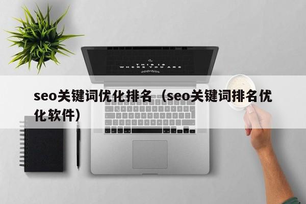 seo关键词优化排名（seo关键词排名优化软件）