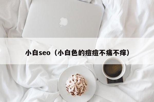 小白seo（小白色的痘痘不痛不痒）