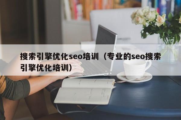 搜索引擎优化seo培训（专业的seo搜索引擎优化培训）