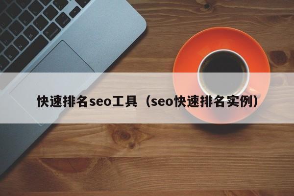 快速排名seo工具（seo快速排名实例）