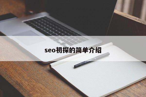 seo初探的简单介绍