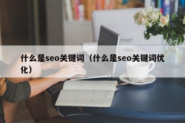 什么是seo关键词（什么是seo关键词优化）