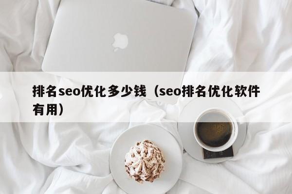 排名seo优化多少钱（seo排名优化软件有用）