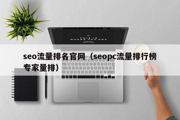 seo流量排名官网（seopc流量排行榜专家量排）