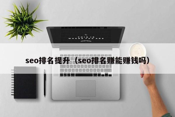 seo排名提升（seo排名赚能赚钱吗）