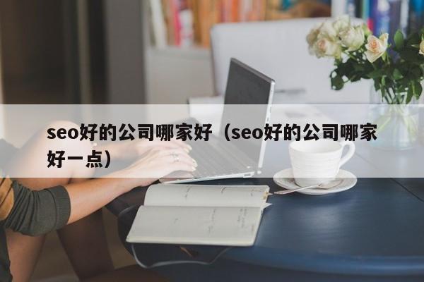 seo好的公司哪家好（seo好的公司哪家好一点）