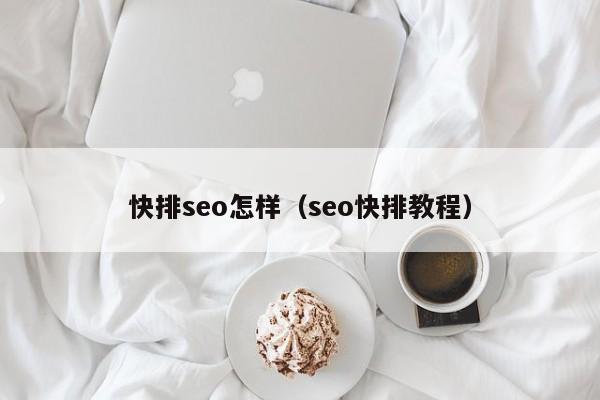 快排seo怎样（seo快排教程）