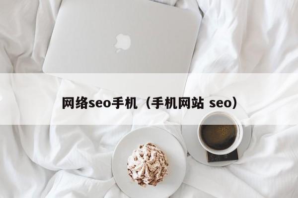 网络seo手机（手机网站 seo）