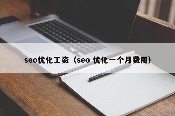 seo优化工资（seo 优化一个月费用）