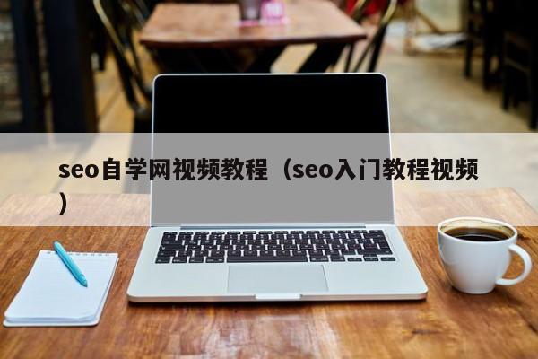 seo自学网视频教程（seo入门教程视频）