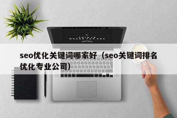 seo优化关键词哪家好（seo关键词排名优化专业公司）