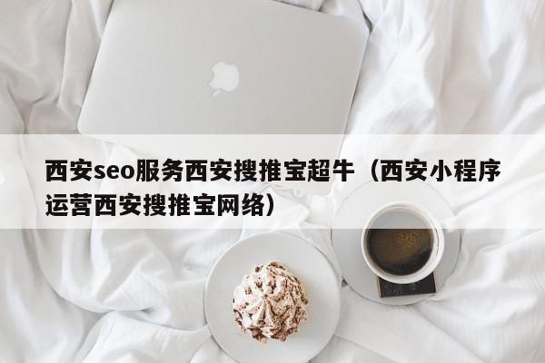 西安seo服务西安搜推宝超牛（西安小程序运营西安搜推宝网络）