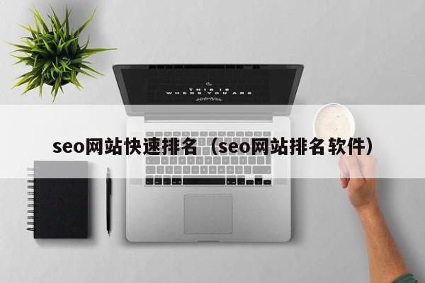 seo网站快速排名（seo网站排名软件）