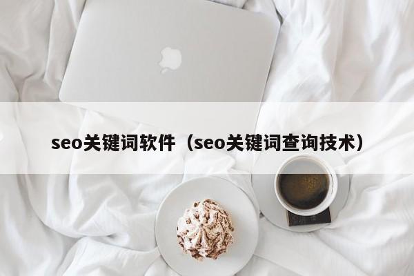 seo关键词软件（seo关键词查询技术）