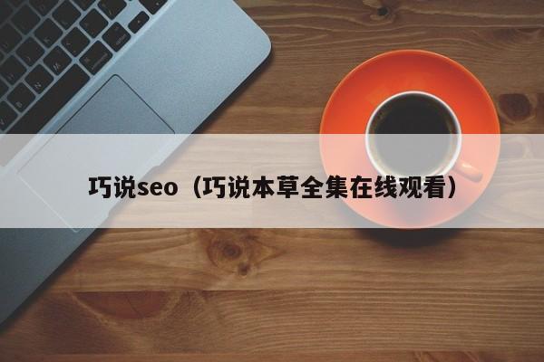 巧说seo（巧说本草全集在线观看）