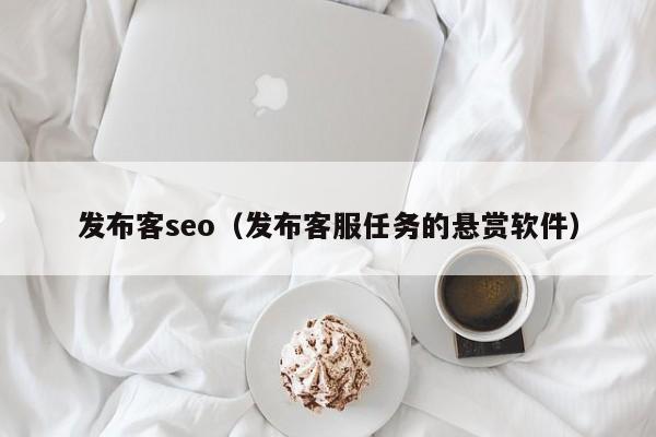 发布客seo（发布客服任务的悬赏软件）