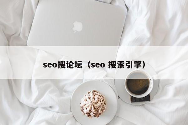 seo搜论坛（seo 搜索引擎）