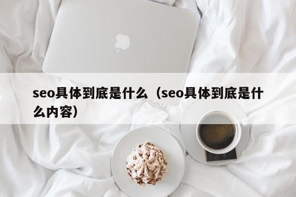 seo具体到底是什么（seo具体到底是什么内容）