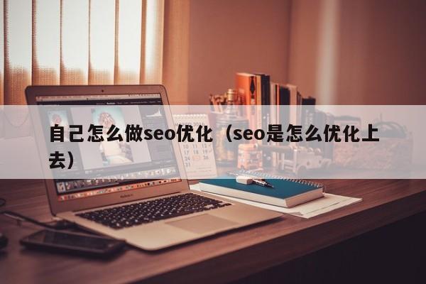 自己怎么做seo优化（seo是怎么优化上去）