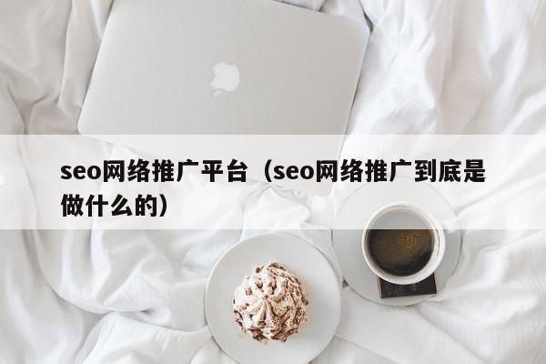 seo网络推广平台（seo网络推广到底是做什么的）