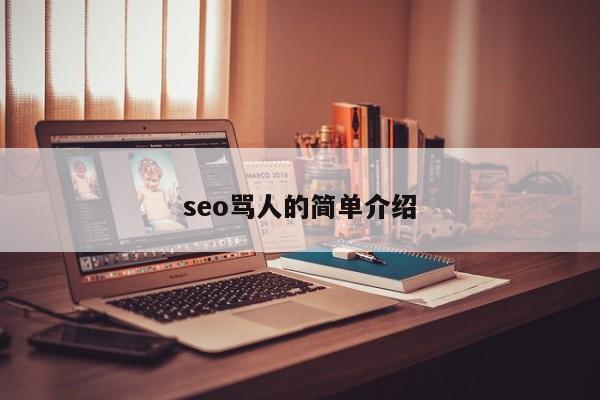 seo骂人的简单介绍