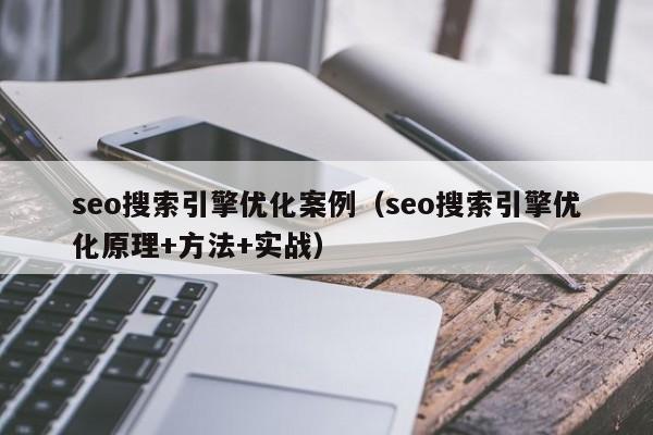 seo搜索引擎优化案例（seo搜索引擎优化原理+方法+实战）