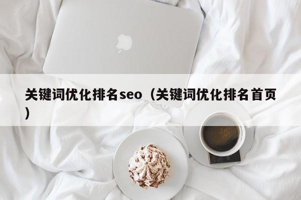 关键词优化排名seo（关键词优化排名首页）