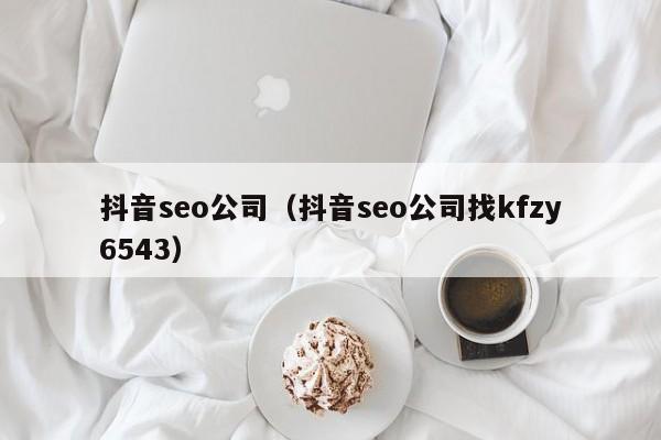 抖音seo公司（抖音seo公司找kfzy6543）