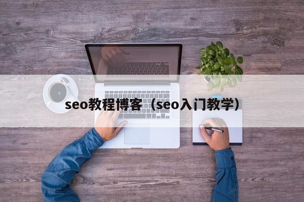 seo教程博客（seo入门教学）