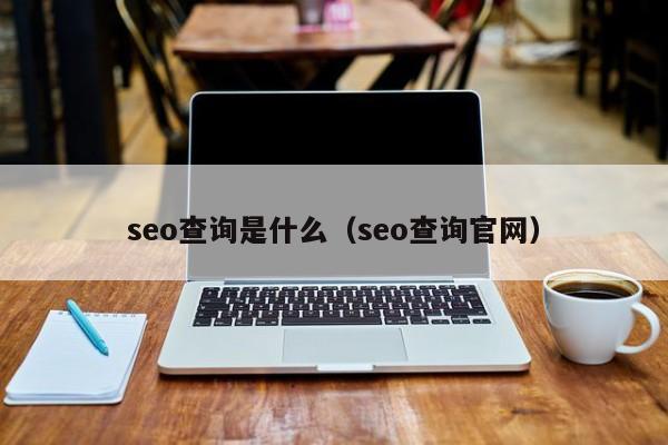 seo查询是什么（seo查询官网）