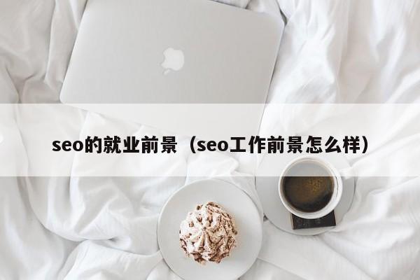 seo的就业前景（seo工作前景怎么样）