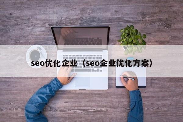 seo优化企业（seo企业优化方案）