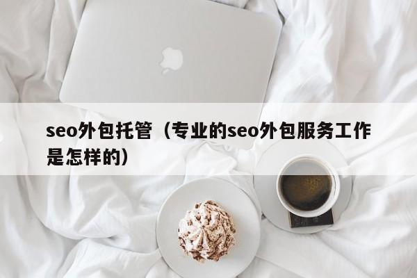 seo外包托管（专业的seo外包服务工作是怎样的）